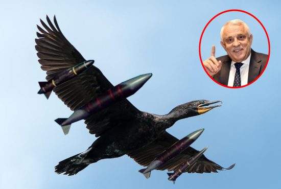 Petre Daea lucrează la cormoranii kamikaze, ca să-i trimită în Ucraina