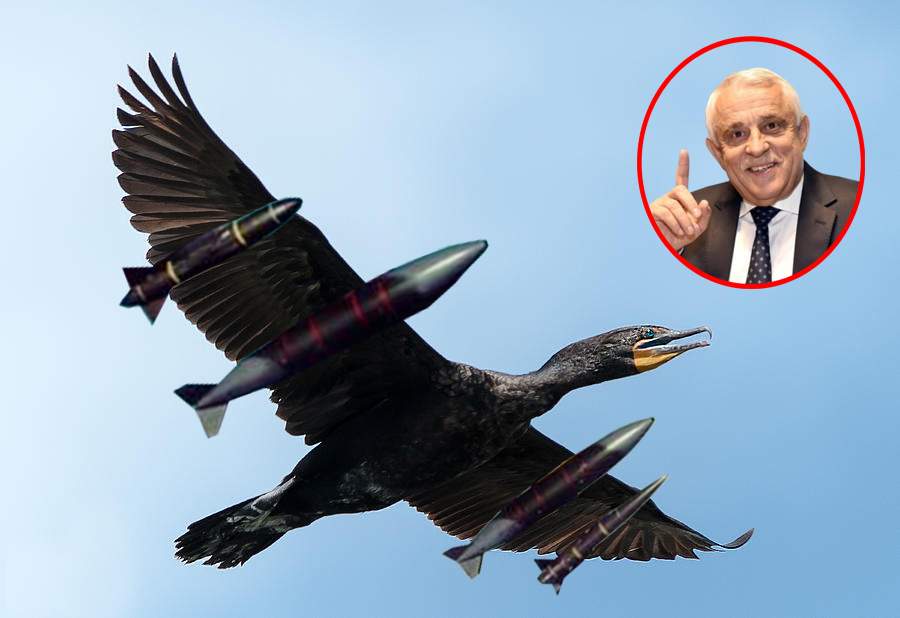 Petre Daea lucrează la cormoranii kamikaze, ca să-i trimită în Ucraina