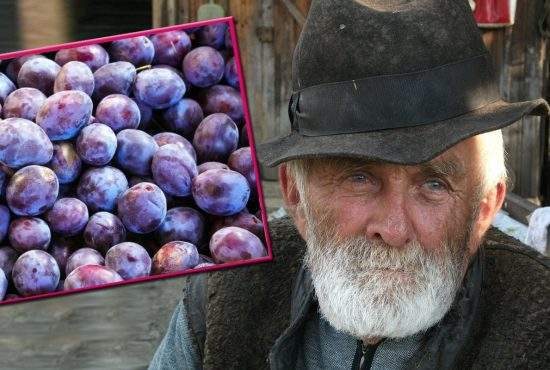 Țăran care vindea prune în fața porții, amendat pentru că nu făcea țuică din ele