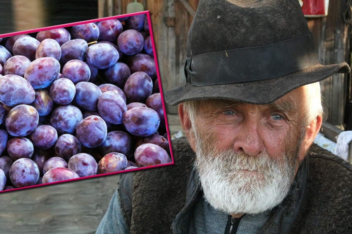 Țăran care vindea prune în fața porții, amendat pentru că nu făcea țuică din ele