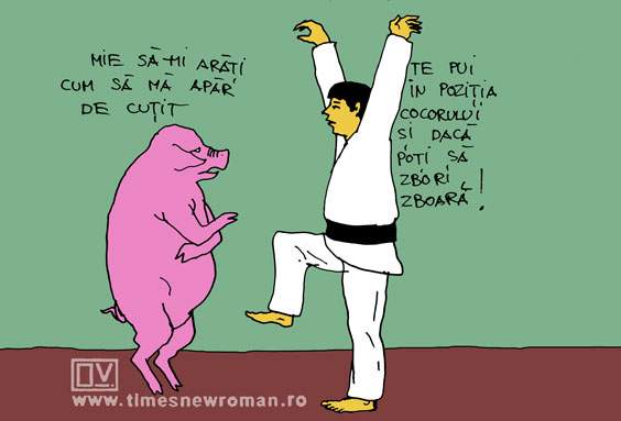 Karate pig