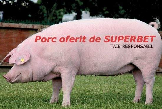 Surpriză de Ignat. Un român a găsit scris pe porcul lui ”Porc oferit de Superbet”