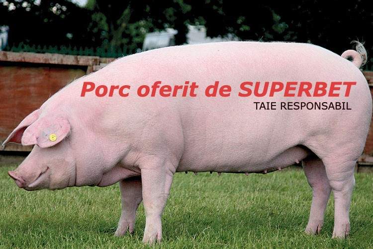 Surpriză de Ignat. Un român a găsit scris pe porcul lui ”Porc oferit de Superbet”