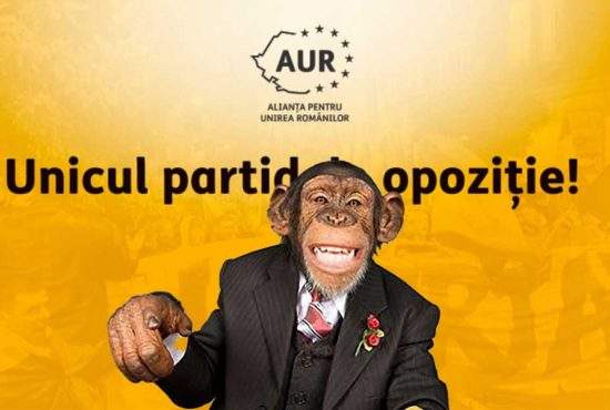 Un cimpanzeu a scris cu caca ”Basarabia e România” și e noul președinte AUR