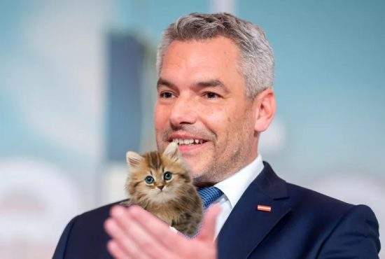Austria a pus pe Facebook o poză cu o pisicuță și gata, au iertat-o toți românii