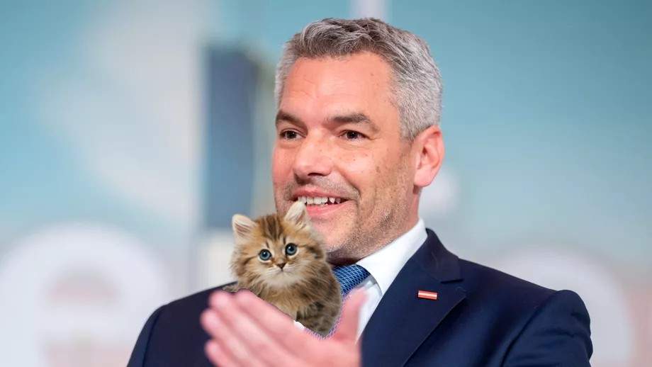 Austria a pus pe Facebook o poză cu o pisicuță și gata, au iertat-o toți românii