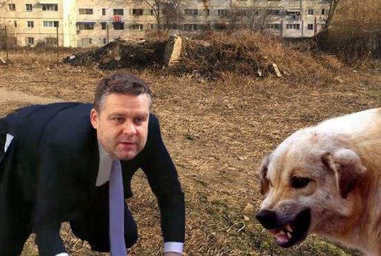 Primarul Ciucu și o haită de polițiști locali au atacat și mușcat câinii de la Lacul Morii