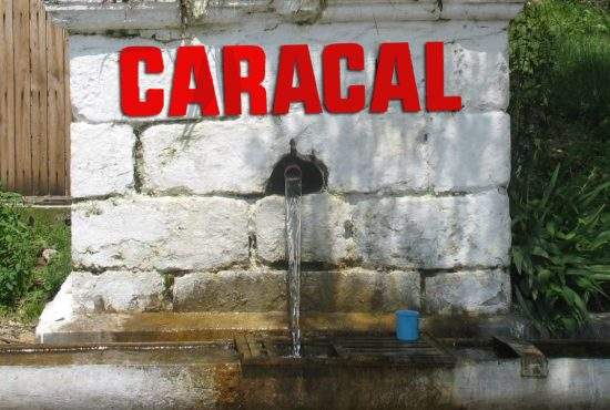 Cum a ajuns Caracal stațiune? Deține singurul izvor cu apă care te face mai prost