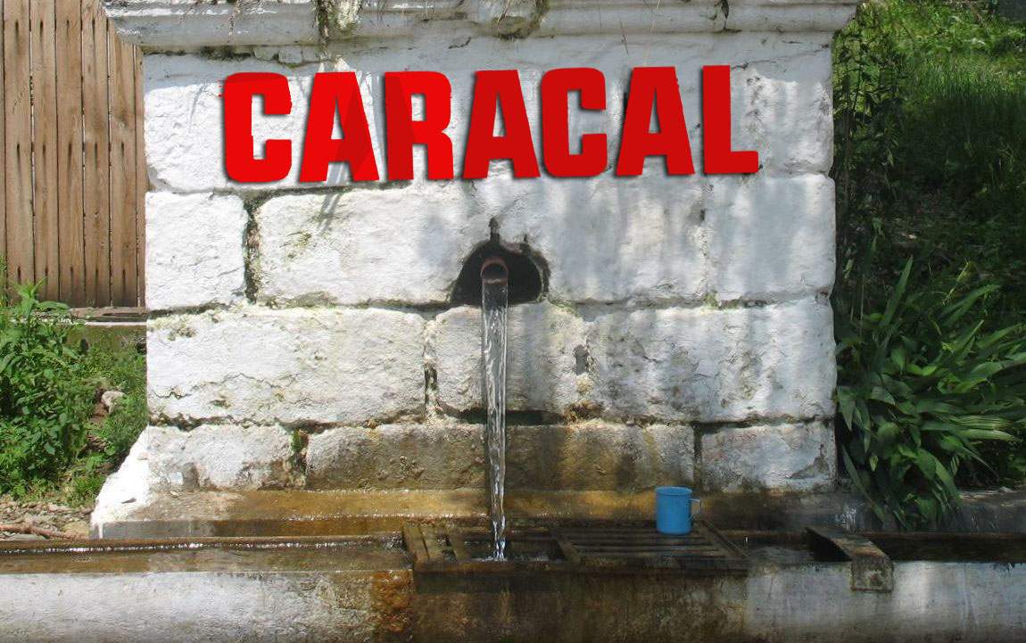 Cum a ajuns Caracal stațiune? Deține singurul izvor cu apă care te face mai prost