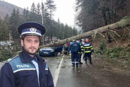 Polițiștii au amendat mai mulți copaci care au căzut peste mașini pe DN1