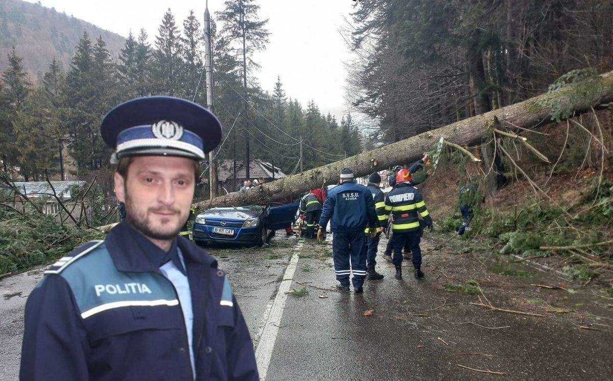 Polițiștii au amendat mai mulți copaci care au căzut peste mașini pe DN1