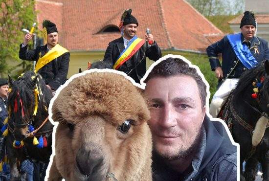 Spectacol. Godină călare pe alpaca Pablo a deschis parada Junilor din Schei