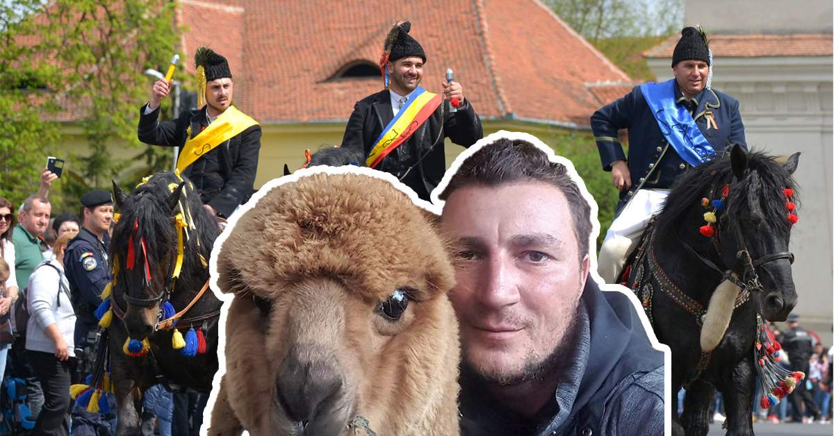 Spectacol. Godină călare pe alpaca Pablo a deschis parada Junilor din Schei