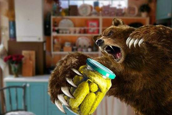 O ursoaică a intrat în casa unui brașovean și se chinuie de 3 ore să desfacă un borcan