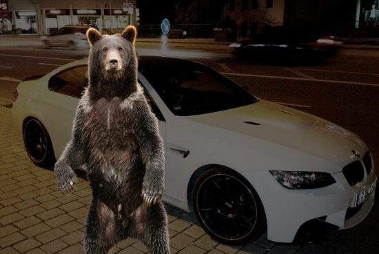 Urs semnalat în Râmnicu-Vâlcea, la volanul unui BMW cu volan pe dreapta