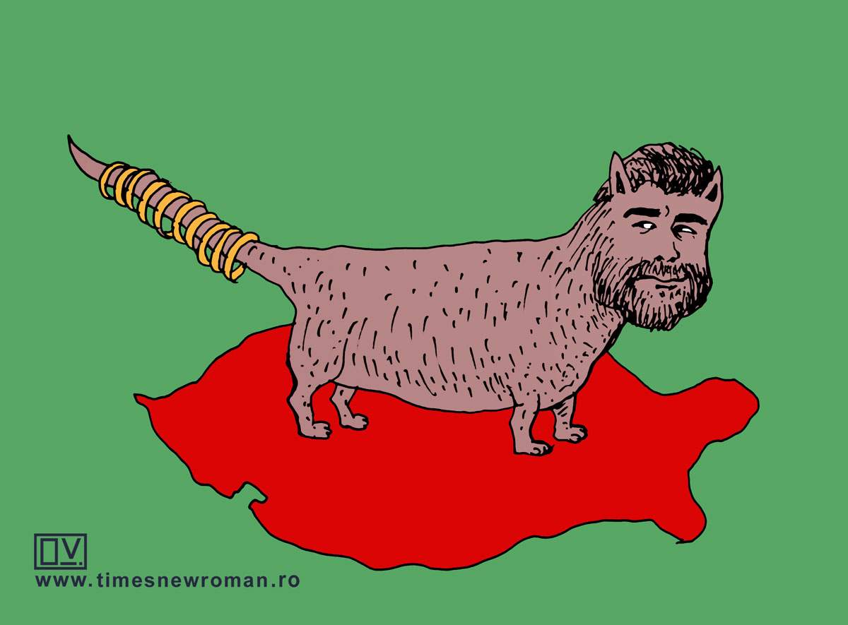 Ciolacu cu covrigi în coadă dar de Buzău