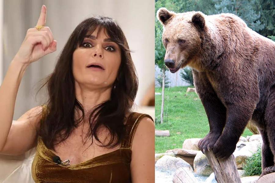 Dana Budeanu, alergată de un urs pe care l-a făcut fătălău că mânca zmeură