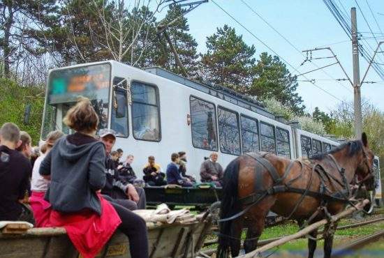 Un tramvai lăsat pe avarii a blocat complet traficul căruțelor din Ploiești