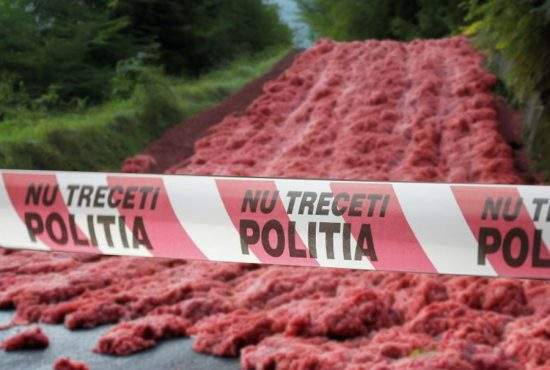 Trafic blocat pe DN7 la Deduleşti în urma unei alunecări de carne de mici