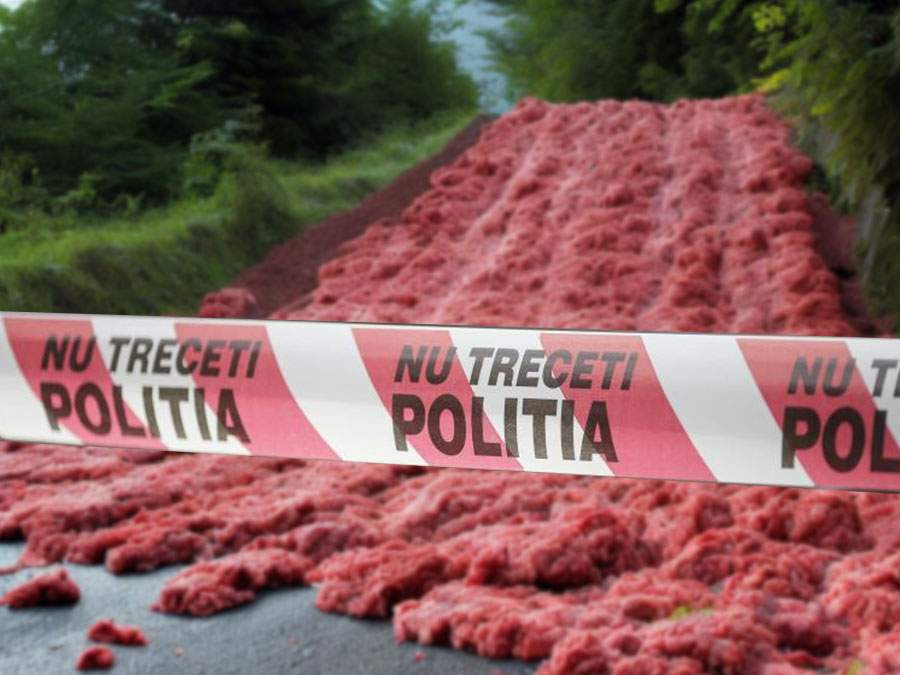 Trafic blocat pe DN7 la Deduleşti în urma unei alunecări de carne de mici