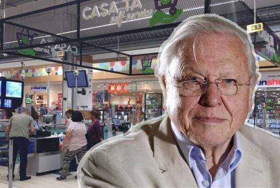 David Attenborough va nara imaginile cu doi oameni chinuindu-se la o casă self service