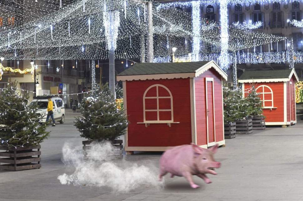 Un craiovean dă Primăria în judecată: „Mi-a fugit porcul când a văzut luminiţele de Crăciun”