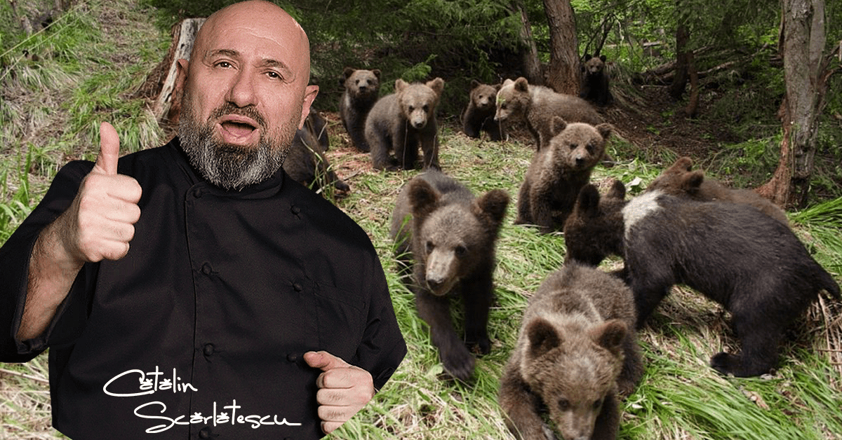 Scărlătescu are o soluție de bun simț la problema urșilor: Hai să-i mâncăm!