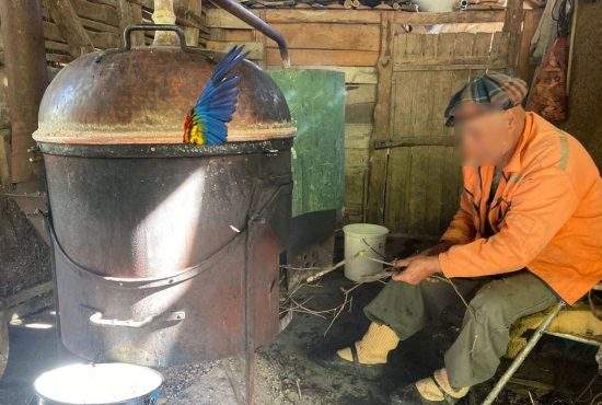 Scandal la Zoo Vaslui după ce îngrijitorul a încercat să facă ţuică din papagali