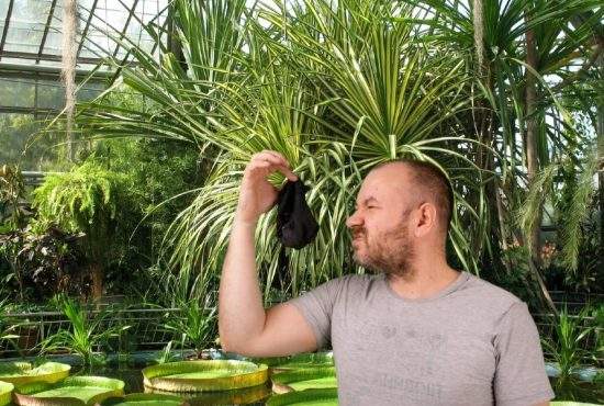 Grădina Botanică recunoaște că planta mirositoare era de fapt ciorapii paznicului