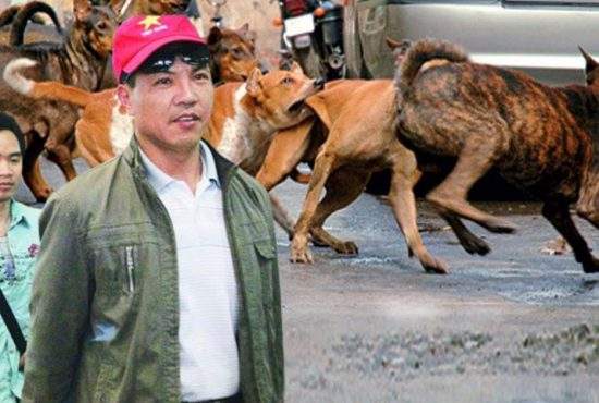Un vietnamez laudă bogăția din România: au câini la discreție pe străzi!