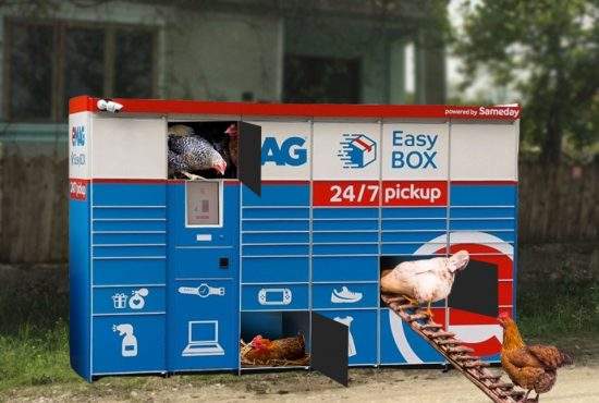 Nefolosit de 2 ani, easybox-ul din Mizil a fost transformat în coteţ de găini