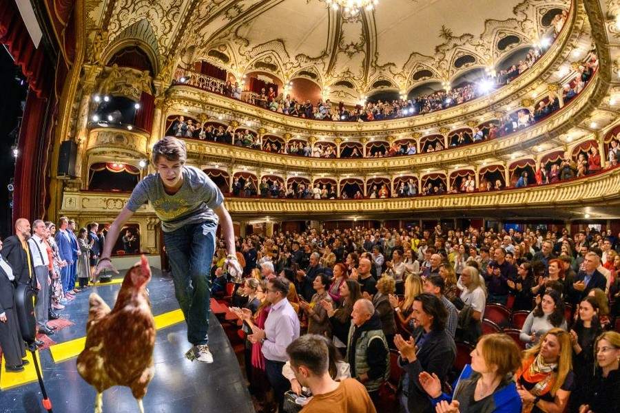 Piesă de teatru întreruptă de un spectator care a tăiat o găină ca s-o mănânce