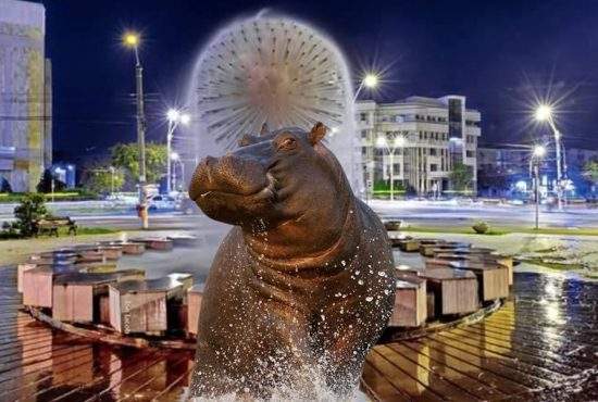 După ce un urs a fost văzut în Brăila, gălățenii se laudă că ei au văzut un hipopotam
