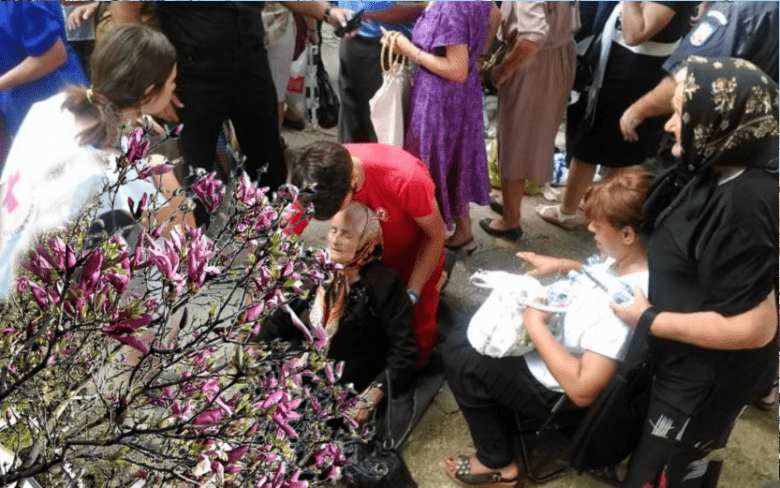 O magnolie înflorită s-a prăbușit peste 300 de cucoane venite să-și facă selfie cu ea