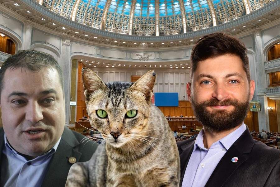 Un pesedist a venit cu o pisică în Parlament, ca să sperie un userist