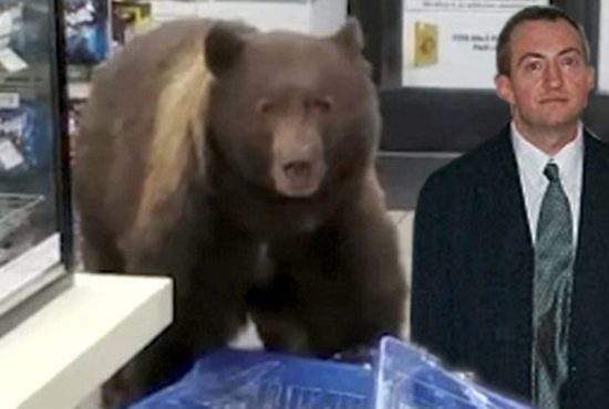 Un român a intrat cu un urs într-un magazin, să verifice dacă mierea e naturală