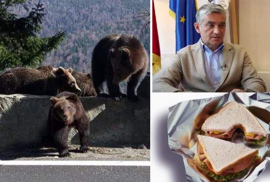 Urşii care cerşesc sandvişuri în Sinaia spun că ei primesc doar pâinea. Şunca o ia primarul Oprea