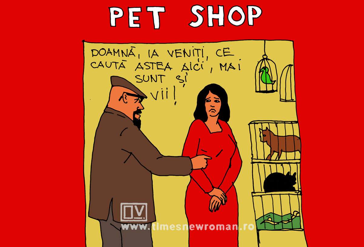 Piedone nu iartă nimic