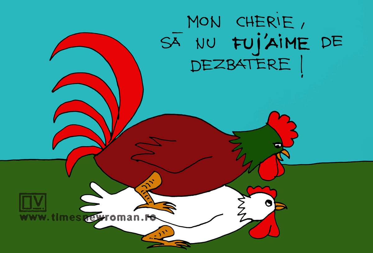 Dragoste de dezbatere
