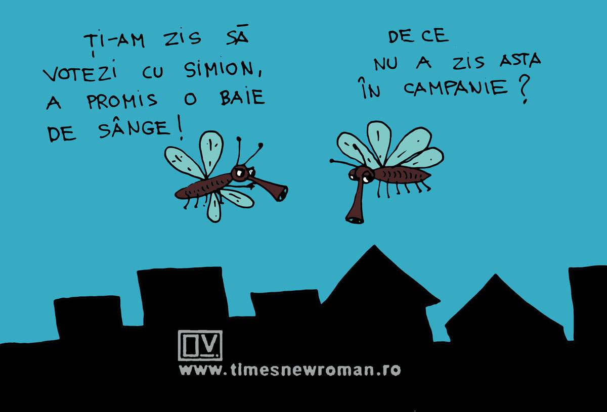 Mintea lui Simion de pe urmă