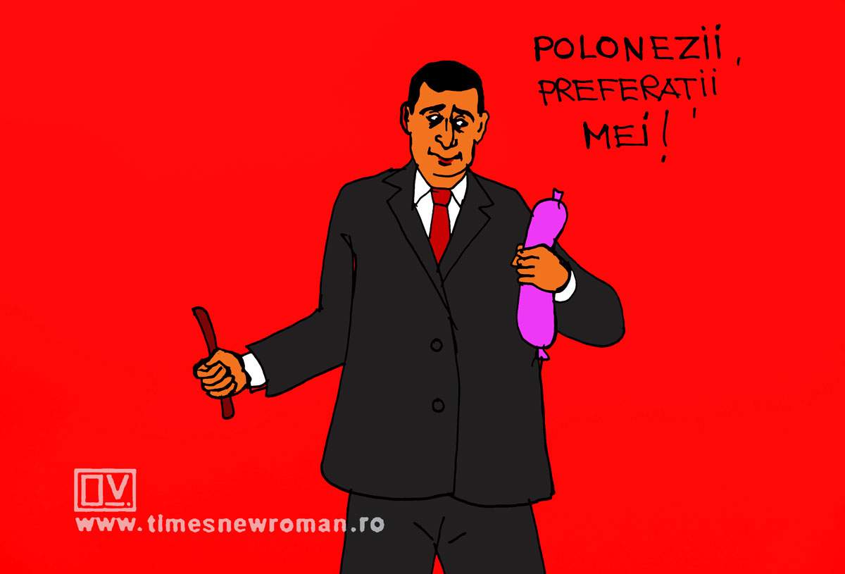 Simion în Polonia