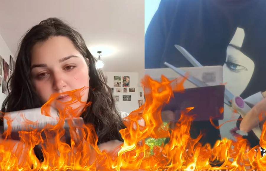 Din reflex, după ce şi-au tăiat paşaportul, câţiva români l-au pârlit şi l-au mâncat