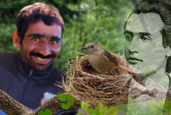 7 personaje din Somnoroase Păsărele pe care sigur le-ai ratat