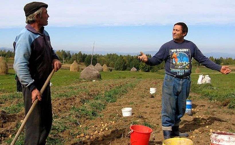 7 metode prin care se pot face bani buni cu un teren agricol