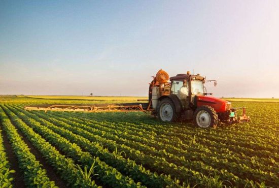 7 lucruri despre agricultura românească