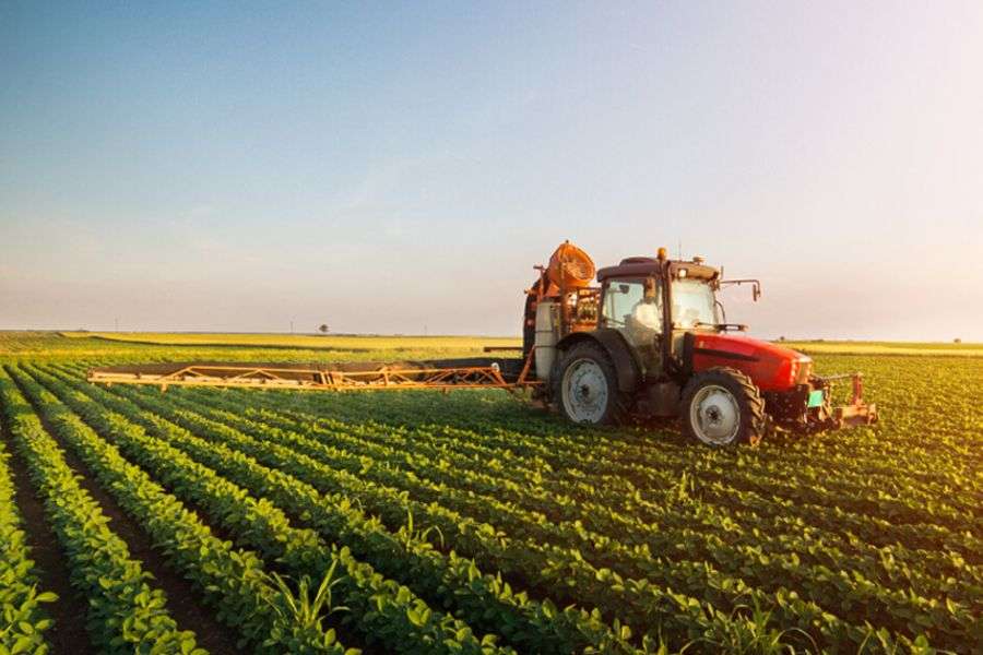 7 lucruri despre agricultura românească