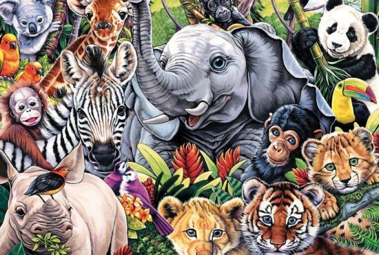 7 animale pe care omul a încercat să le domesticească