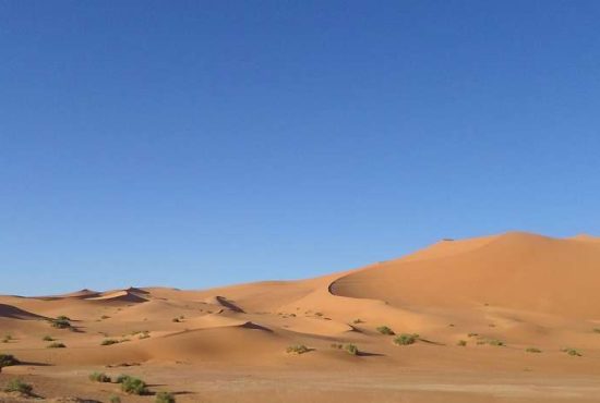7 metode garantate să găseşti apă în Sahara