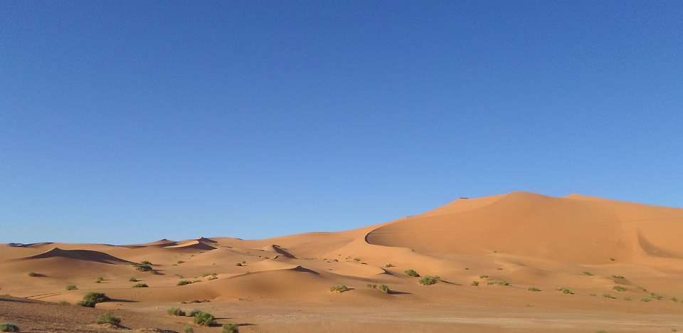 7 metode garantate să găseşti apă în Sahara