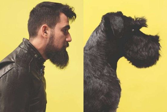 7 asemănări între bărbați și câini